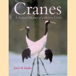Cranes: A Natural History of a Bird in Crisis
Janice Maryan Hughes
€ 15,00 Cranes: A Natural History of a Bird in Crisis
Janice Maryan Hughes
€ 15,00