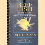 Reef Fish Identification: Florida, Caribbean, Bahamas
Paul Humann e.a.
€ 10,00 Reef Fish Identification: Florida, Caribbean, Bahamas
Paul Humann e.a.
€ 10,00