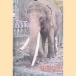 Murugan: een legendarische olifant
Piet Duizer e.a.
€ 6,50 Murugan: een legendarische olifant
Piet Duizer e.a.
€ 6,50